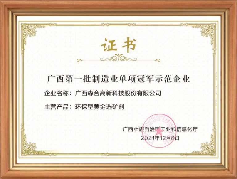 广西第一批制造业单项制造冠军证书
